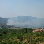 peljesac trstenik pozar390