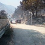 peljesac trstenik pozar456