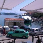 polace mljet 2
