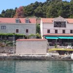 polace mljet 4
