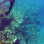 porporela klupe ronioci 2