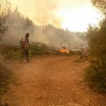 pozar korcula smokvica2
