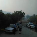 pozar peljesac 2015 1