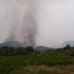 pozar peljesac 2015