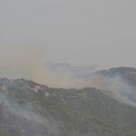 pozar peljesac ponikve 102