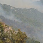 pozar peljesac ponikve 108