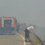 pozar peljesac ponikve 115