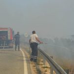 pozar peljesac ponikve 116