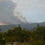 pozar peljesac ponikve 157