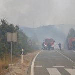 pozar peljesac ponikve 174
