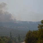 pozar peljesac ponikve 181