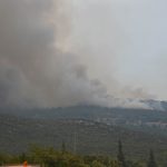 pozar peljesac ponikve 189