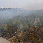 pozar peljesac ponikve 230