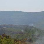 pozar peljesac ponikve 234