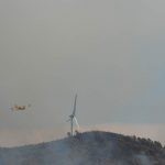pozar peljesac ponikve 277