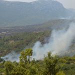 pozar peljesac ponikve 298