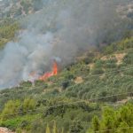 pozar peljesac ponikve 30