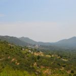 pozar peljesac ponikve 303