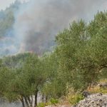 pozar peljesac ponikve 32