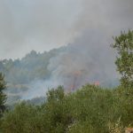 pozar peljesac ponikve 34