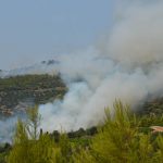 pozar peljesac ponikve 4
