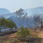 pozar peljesac ponikve 43