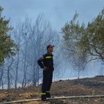 pozar peljesac ponikve 45