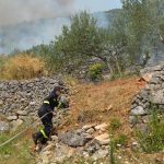 pozar peljesac ponikve 50