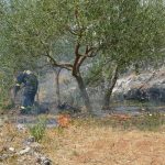 pozar peljesac ponikve 58