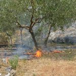 pozar peljesac ponikve 61
