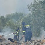 pozar peljesac ponikve 72