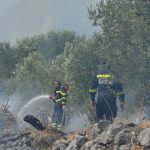 pozar peljesac ponikve 73