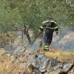 pozar peljesac ponikve 81