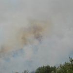 pozar peljesac ponikve 88