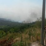 pozar peljesac zabrdje1