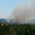 pozar peljesac zabrdje11