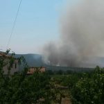 pozar peljesac zabrdje6