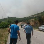 pozar peljesac zabrdje9
