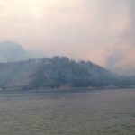 pozar trstenik 2015 2
