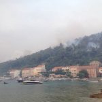 pozar trstenik 2015 3