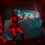 revelin goa 2