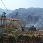 trstenik novo3