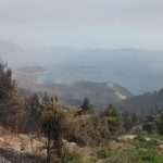 trstenik pozar 1