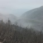 trstenik pozar