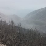 trstenik pozar 4