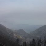 trstenik pozar 5