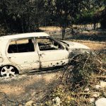 trstenik pozar novo11