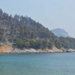 trstenik pozar1