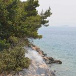 trstenik pozar2