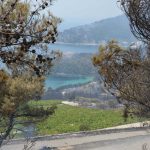trstenik pozar8
